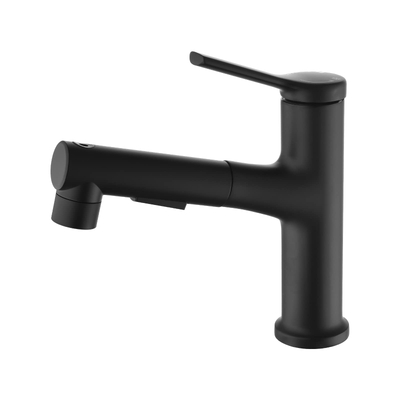 Aplicação multilugar Aquacubic em preto fosco com modo de pulverizador removível Torneiras de banheiro